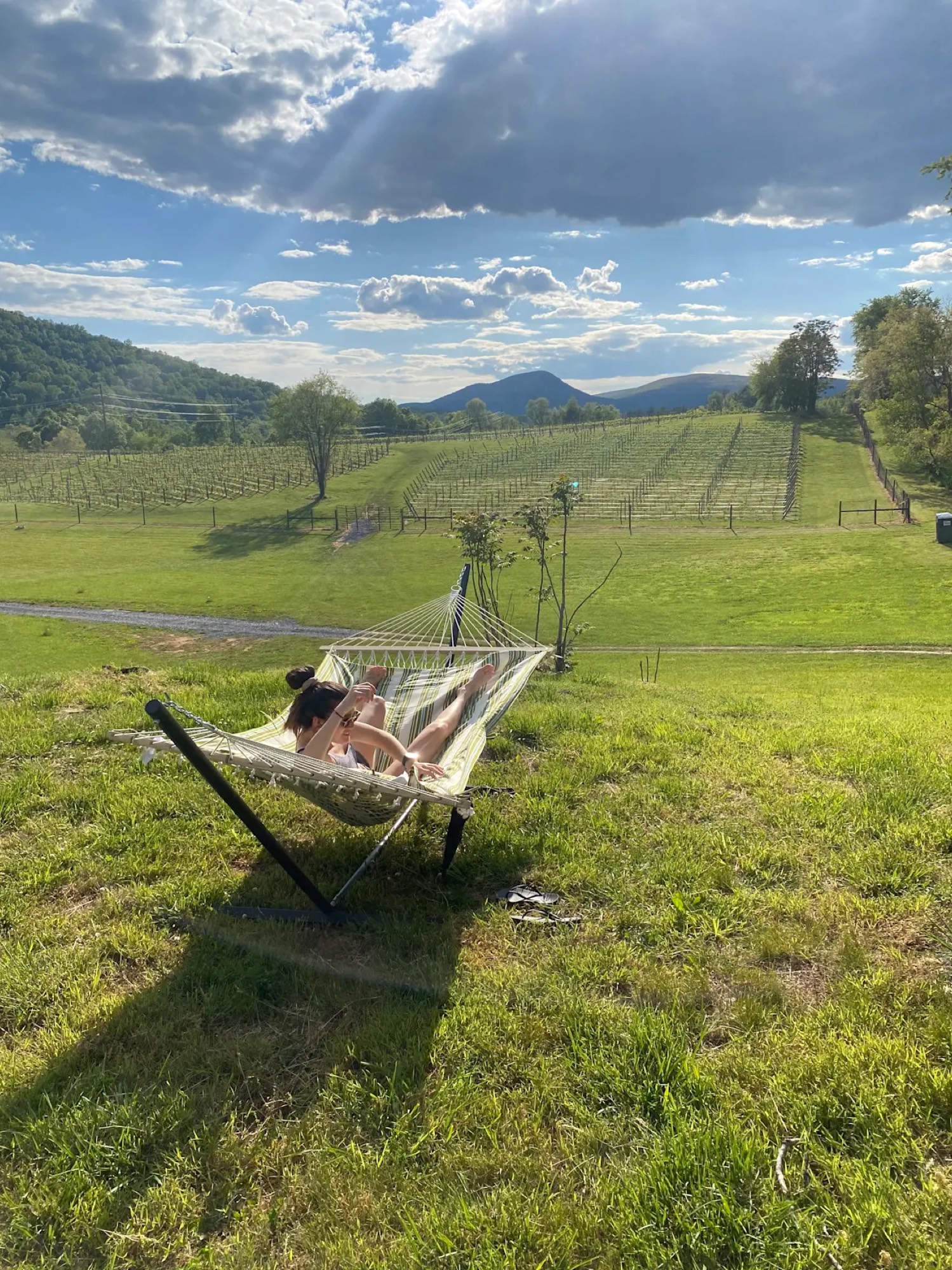 Two people relaxing in a hammock with vineyard rows and mountains in the distance