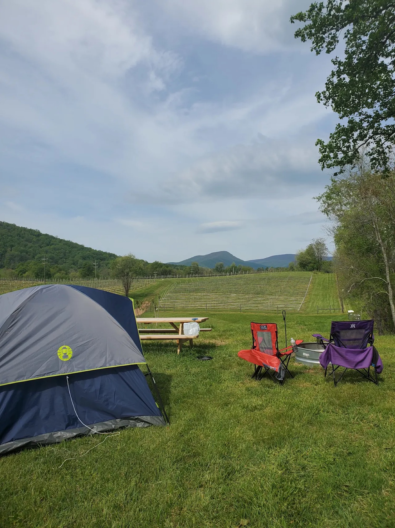 A blue tent and two camp chairs set up on the grass with the Blue Ridge Mountains in the distance and vineyard rows behind